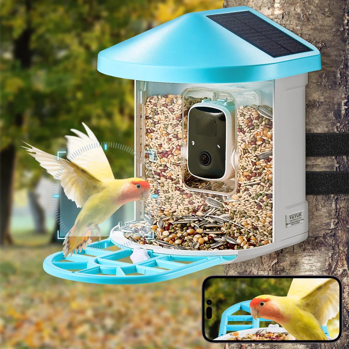 Smart Solar Bird Feeder with Camera, AI Bird Species Identification