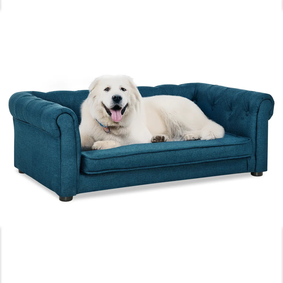 Elevated Dog Sofa Bed for Small and Medium Dogs, Blue