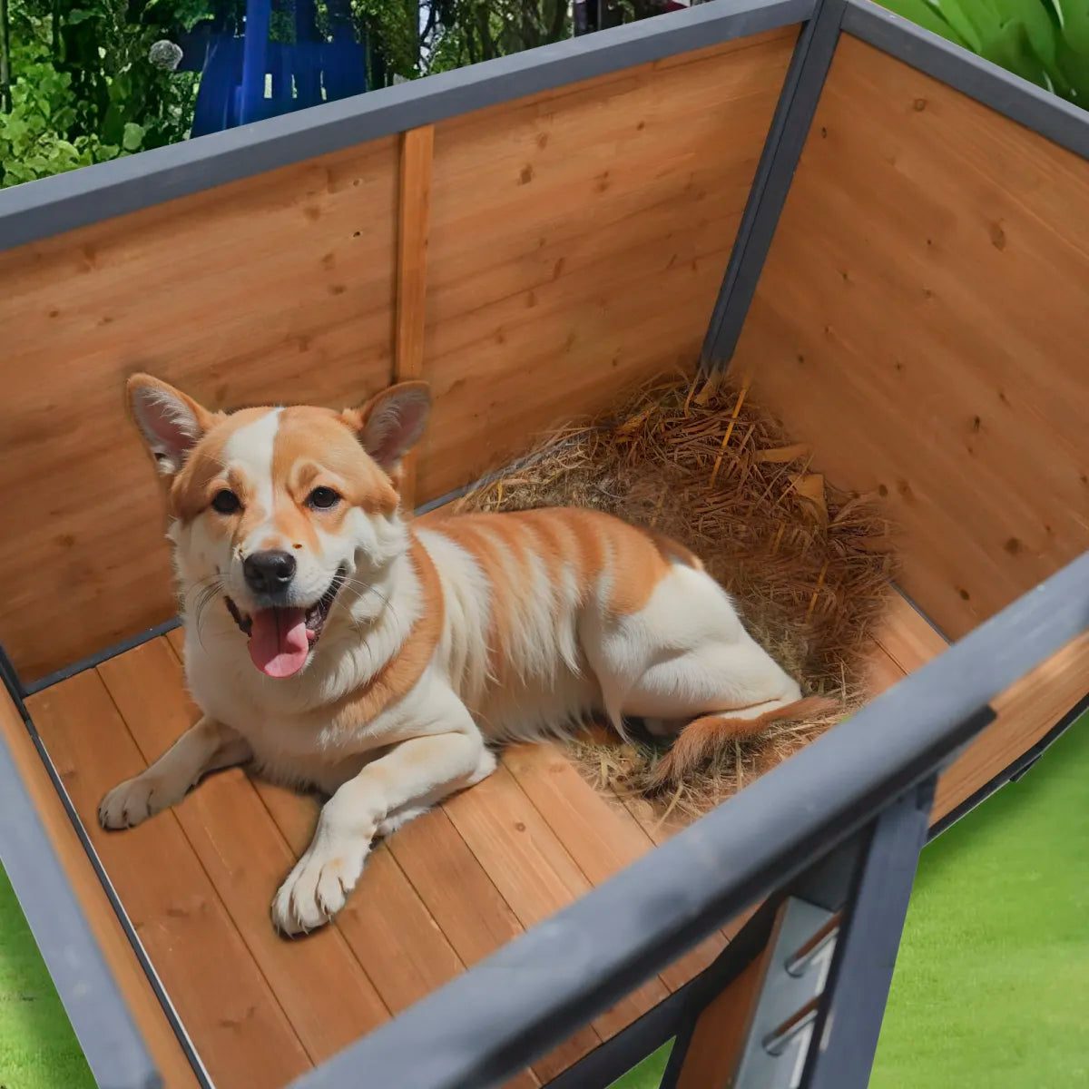 45" Large Wooden Dog House with Waterproof PVC Roof, Gray and Yellow