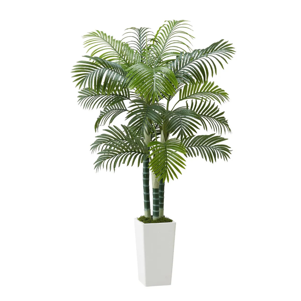 6 Ft Artificial Areca Palm Tree with White Planter, Faux Plant for Indoor Decor