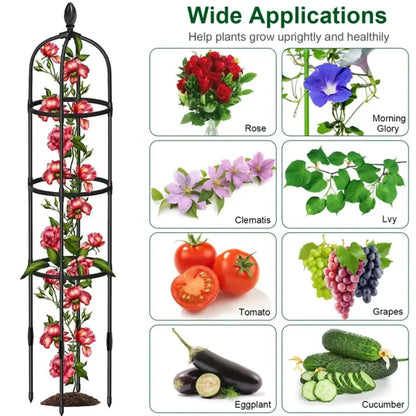 2-Pack Garden Obelisk Trellis for Climbing Plants, Black