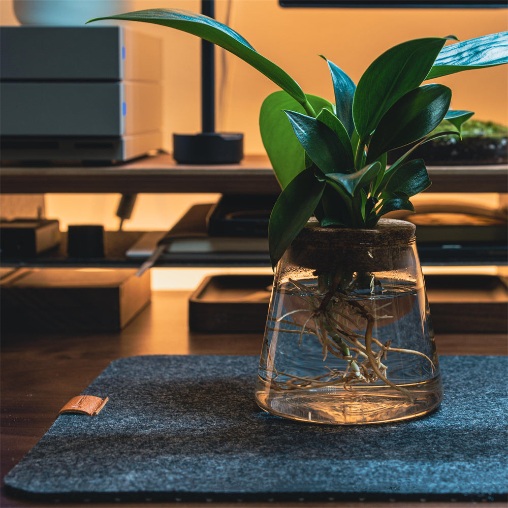 Large felt desk mat and mouse pad