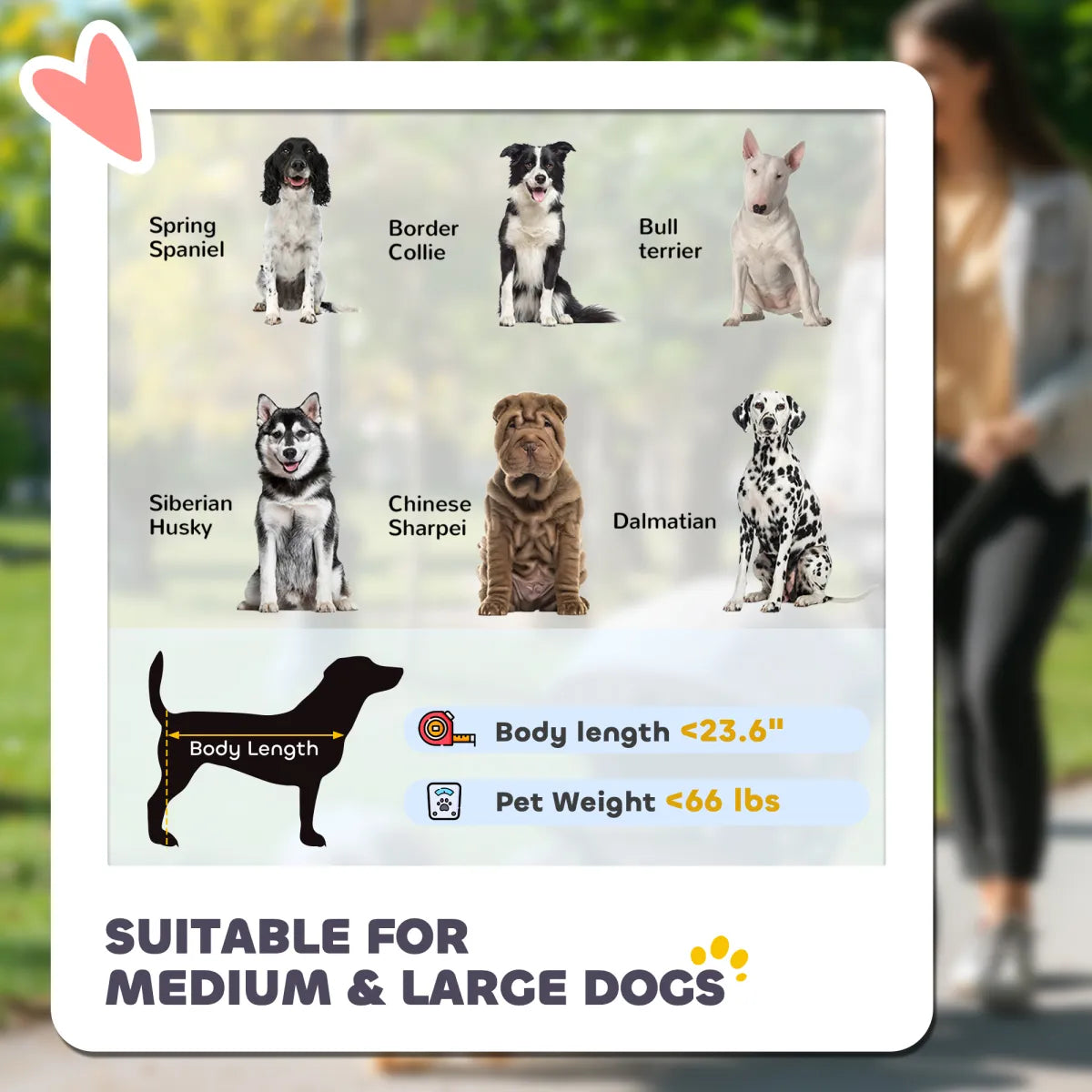 One-Click Foldable Dog Stroller – For Medium and Large Dogs