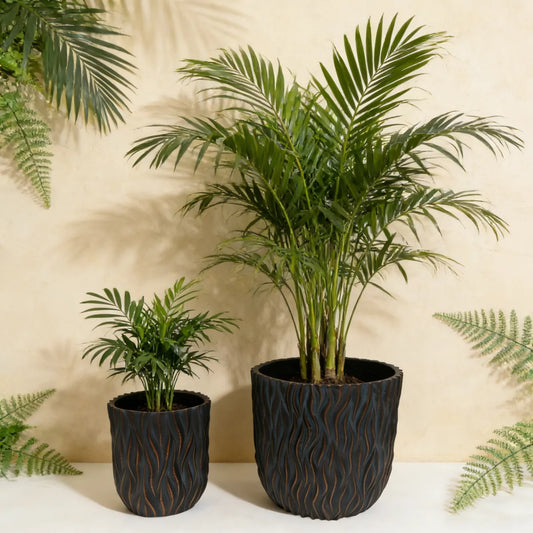 Set of 2 Large Round Concrete Planters with Textured Finish