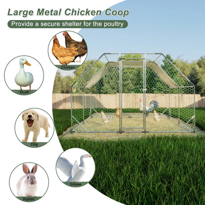 10' x 13' Galvanized Metal Walk-In Chicken Coop Run