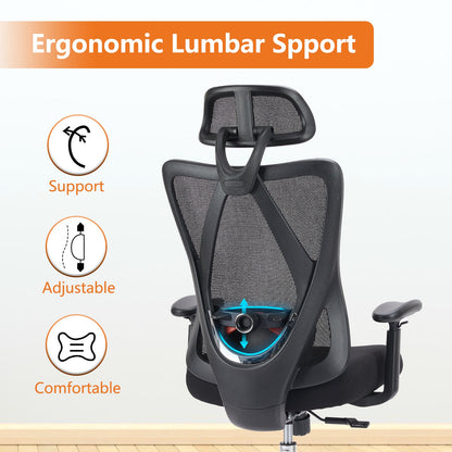 Ergonomic office chair with lumbar support