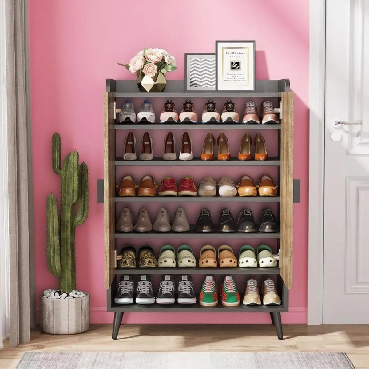 Modern Shoe Storage Cabinet