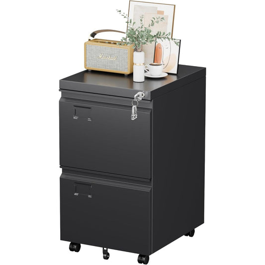 2-Drawer Lockable File Cabinet