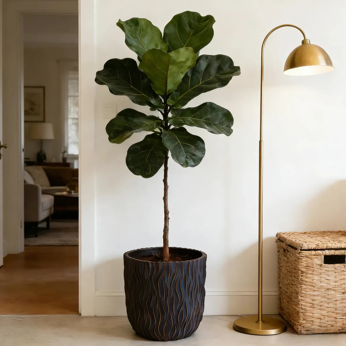 Set of 2 Large Round Concrete Planters with Textured Finish